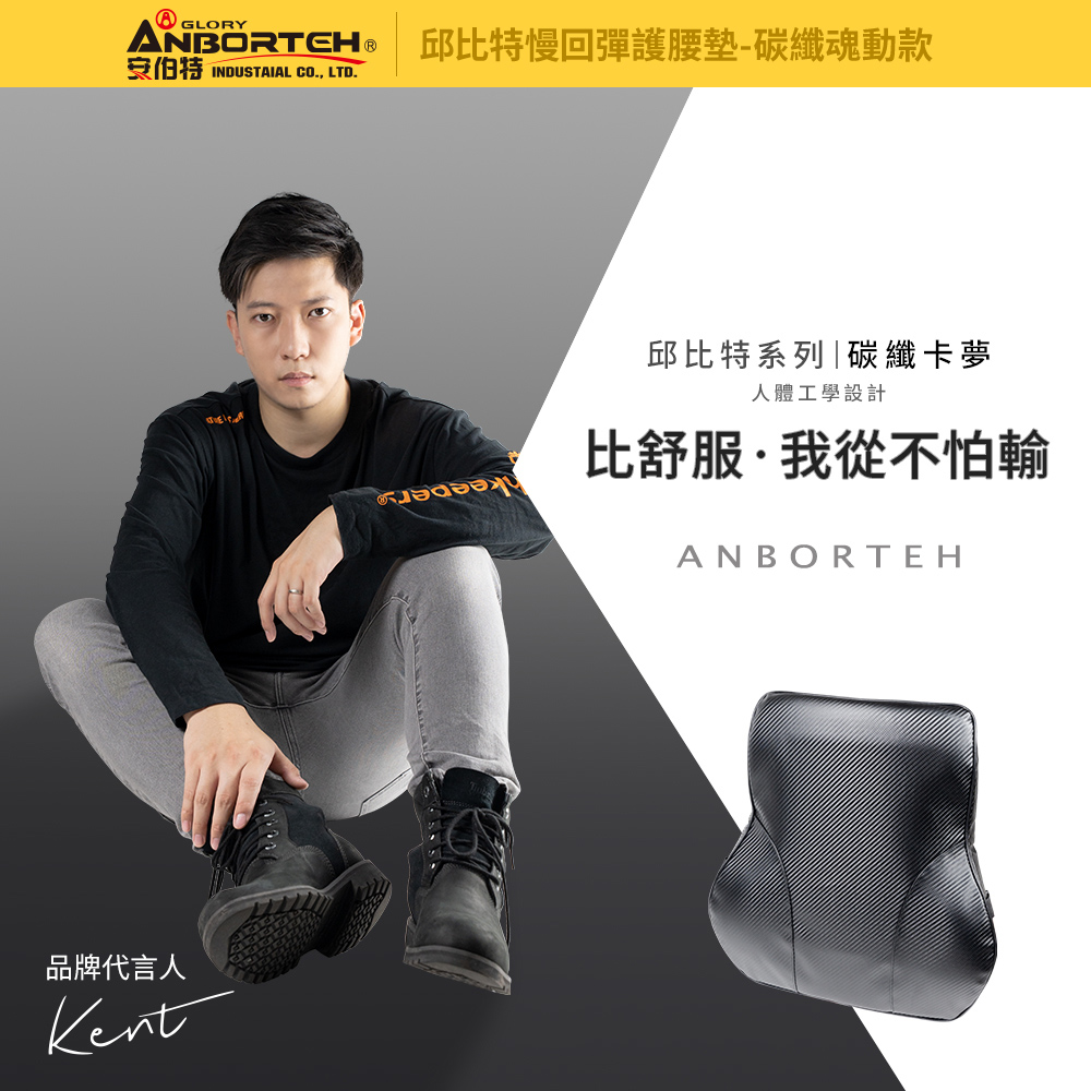 【ANBORTEH】 碳纖魂動-護腰墊 ABT-A121